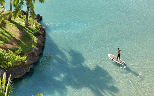 Hawaii Sunscreen Ban: What It Means for Reef-Friendly Sunscreen