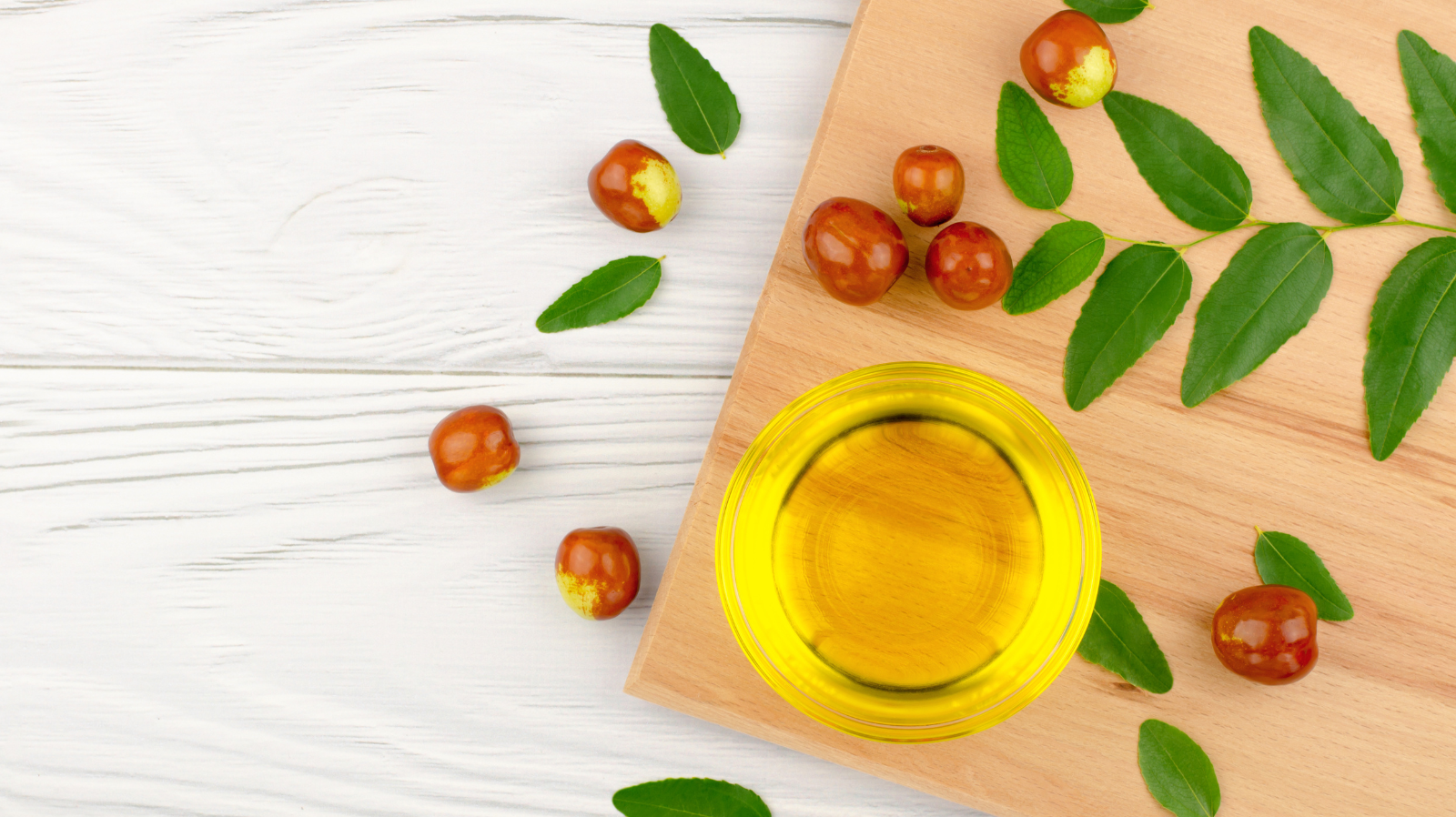 Jojoba Oil 101: Benefits, Uses, and Why It’s a Skincare Essential