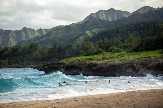 All Good Body Care - Hawaii Legislation